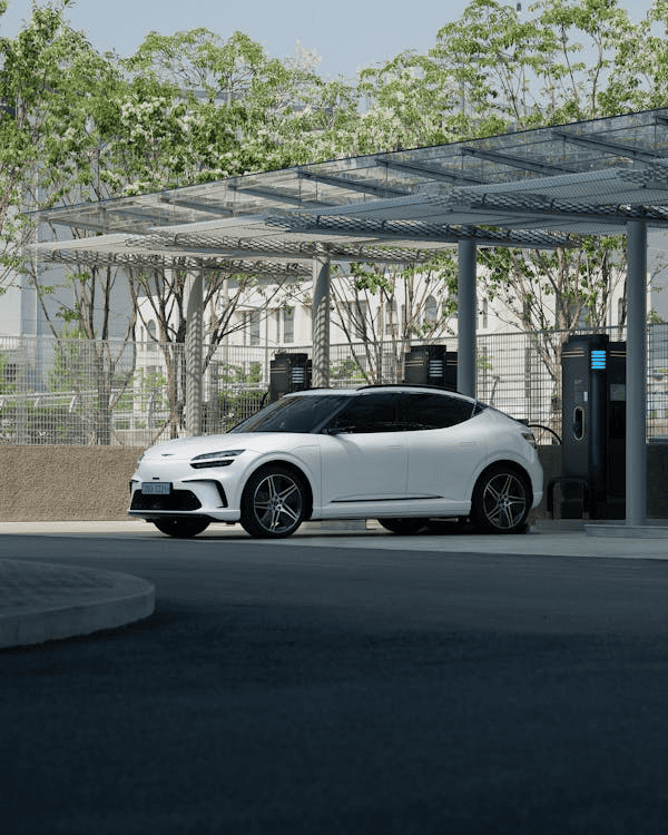 elektrinis automobilis