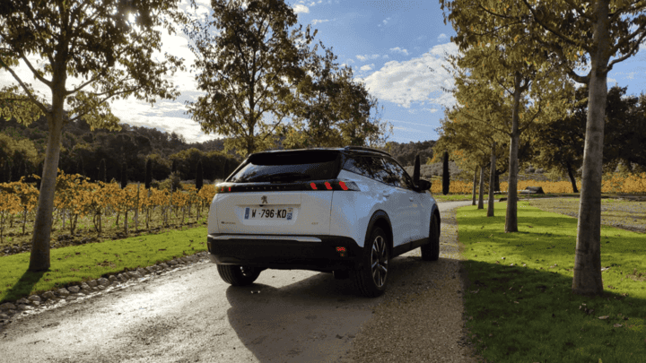 elektrinis automobilis