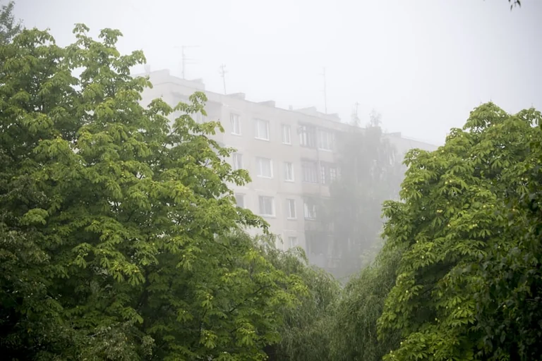 Orai Lietuvoje: rugpjūčio 20 d. prognozė ir įspėjimai