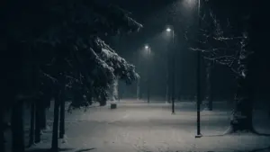 Sningantis vakaras Vilniaus parke su šviečiančiais gatvės žibintais ir jaukiu apšvietimu.