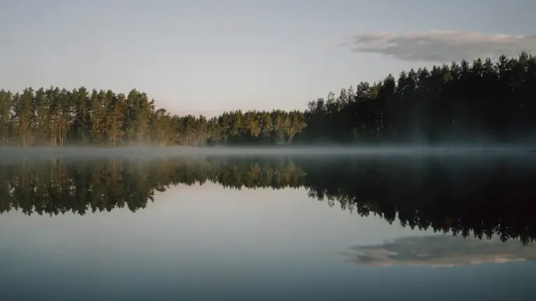 Rugpjūčio 12-osios horoskopas: mažiau skubos, daugiau aiškumo
