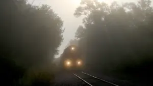 Traukinys važiuoja per rytinį rūką, tarp medžių šviečia ankstyvi saulės spinduliai.