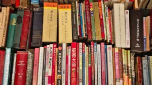 Spalvinga senovinių knygų kolekcija su įvairių pasaulio kalbų literatūra knygyne.