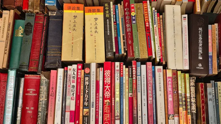 Spalvinga senovinių knygų kolekcija su įvairių pasaulio kalbų literatūra knygyne.