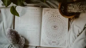Atversta užrašų knygelė su zodiako ženklais, kristalu ir augalu ramiame fone.
