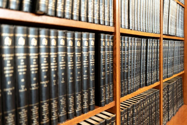 Kodėl spalio 25-oji primena, kaip Konstitucija veikia kasdien